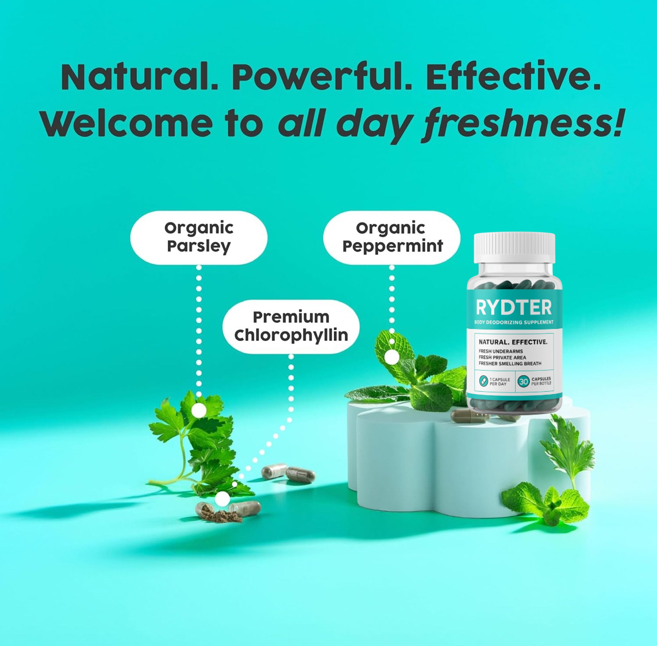 DEOS Internal Deodorant Supplement – Full Body Deodorizer for Gut Health, Skin Health, Detox & Digestion Support – Natural Odor Control Chlorophyll Pills for Head-to-Toe Freshness | 30 Capsules